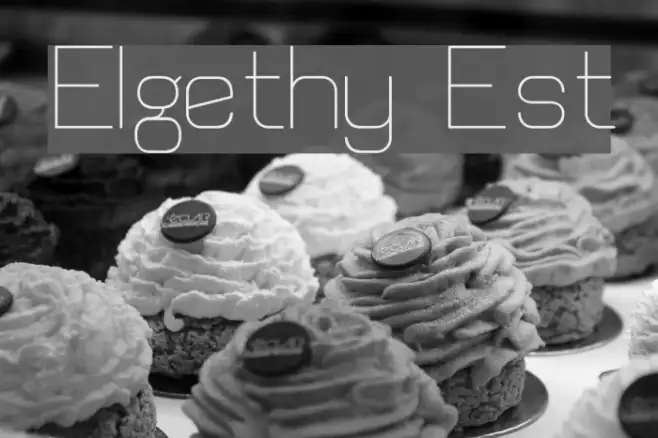 Elgethy Est Example 1