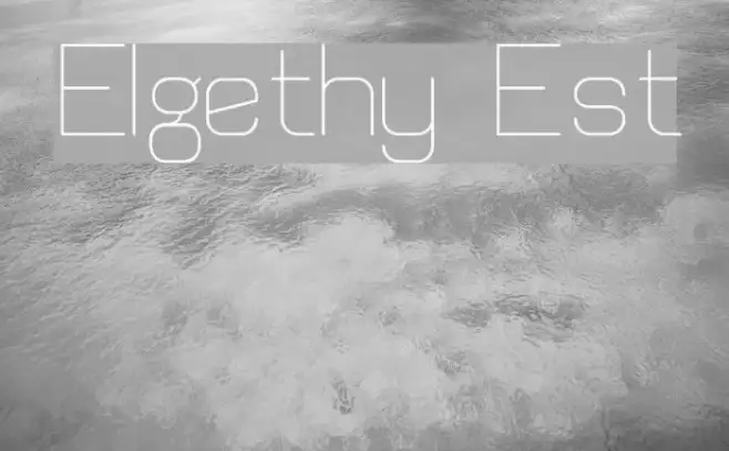 Elgethy Est Example 2