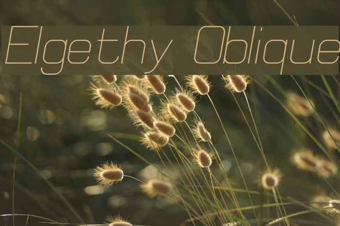 Elgethy Oblique Font examples