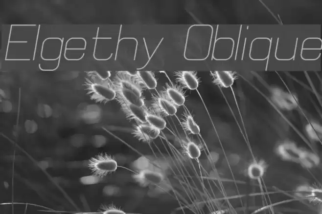 Elgethy Oblique  examples