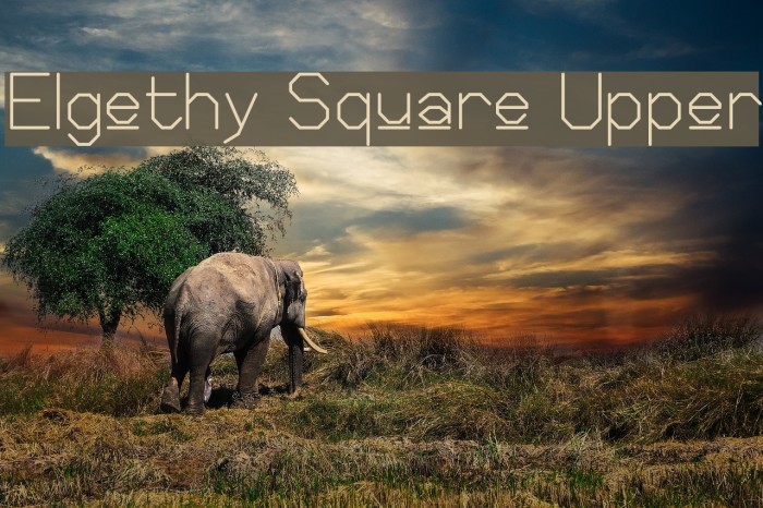 Elgethy Square Upper Font examples