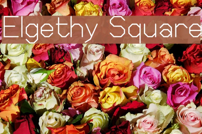 Elgethy Square Font examples