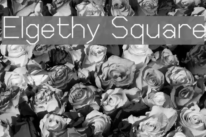 Elgethy Square Example 3