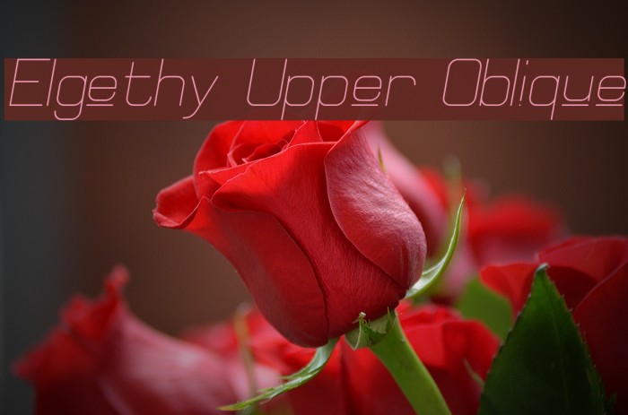 Elgethy Upper Oblique Font examples