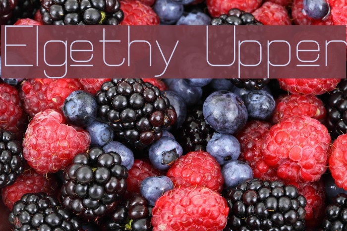 Elgethy Upper Example 3