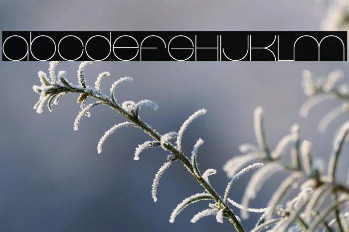 Elgrand Regular Example 3