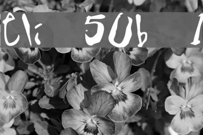 Eli 50b 1 Font examples