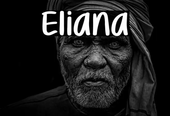 Eliana Шрифта examples