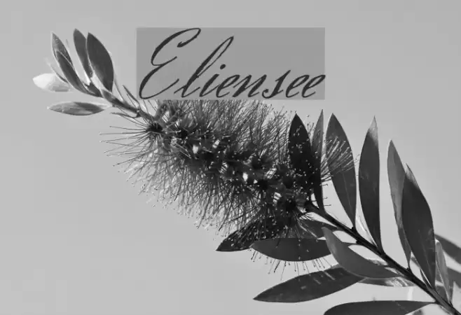 Eliensee Font examples