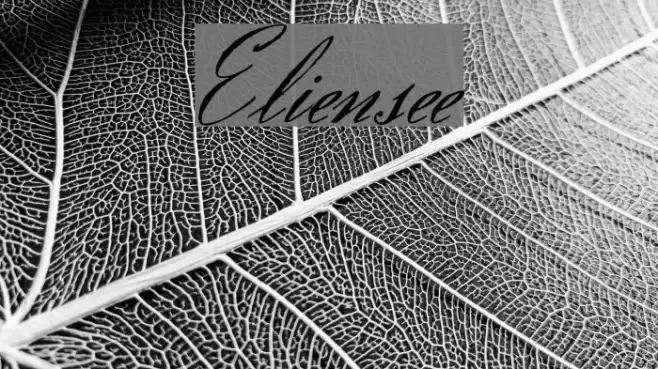 Eliensee Font examples