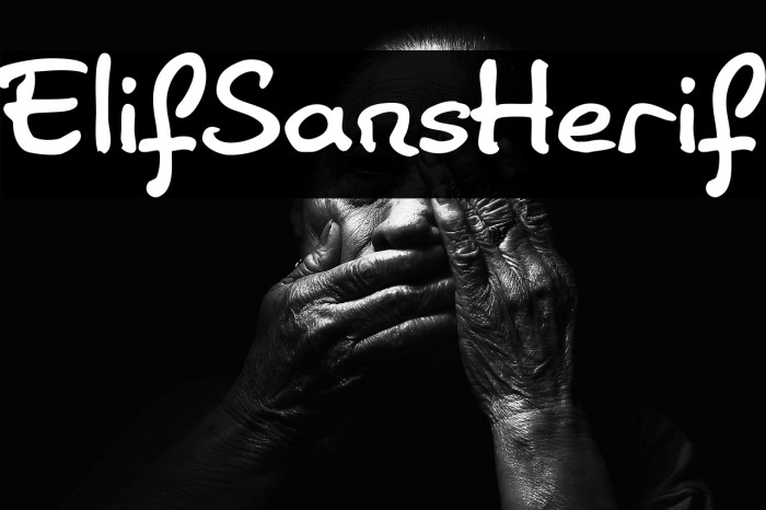 ElifSansHerif Example 1