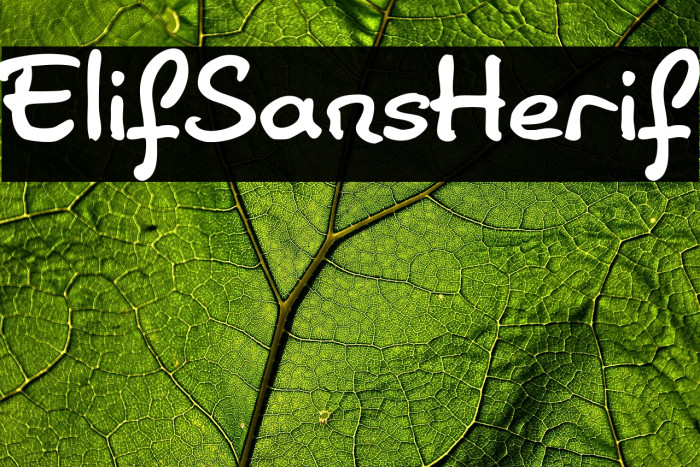 ElifSansHerif Example 2