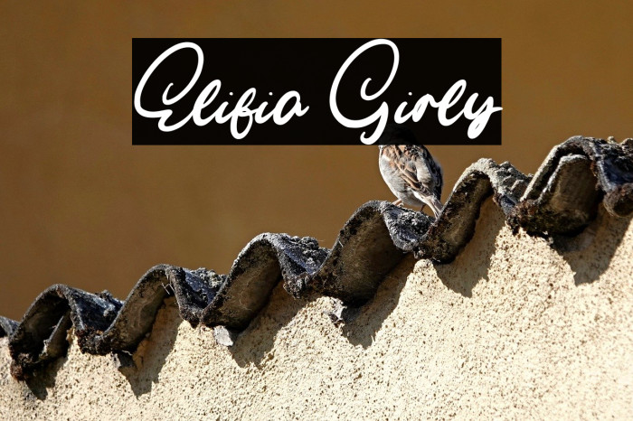 Elifia Girly Example 2