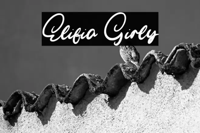 Elifia Girly Font examples