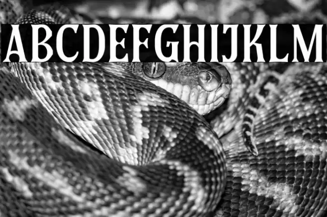 Eligated DEMO Font examples