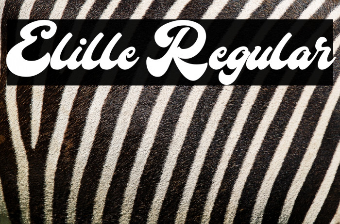 Elille Regular Example 1