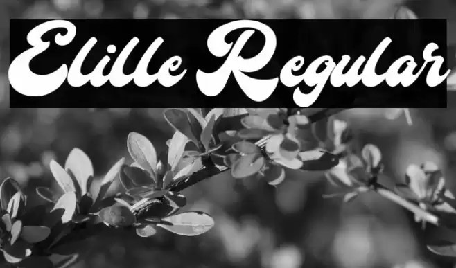 Elille Regular Font examples