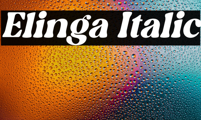 Elinga Italic Example 2