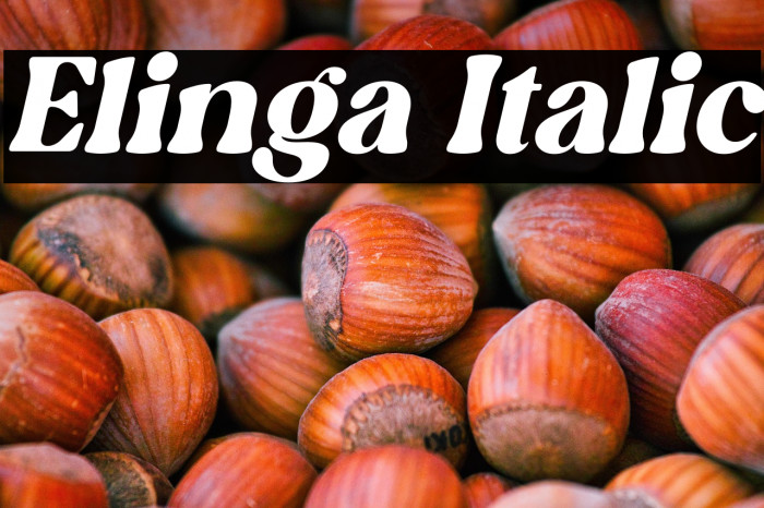 Elinga Italic Example 3