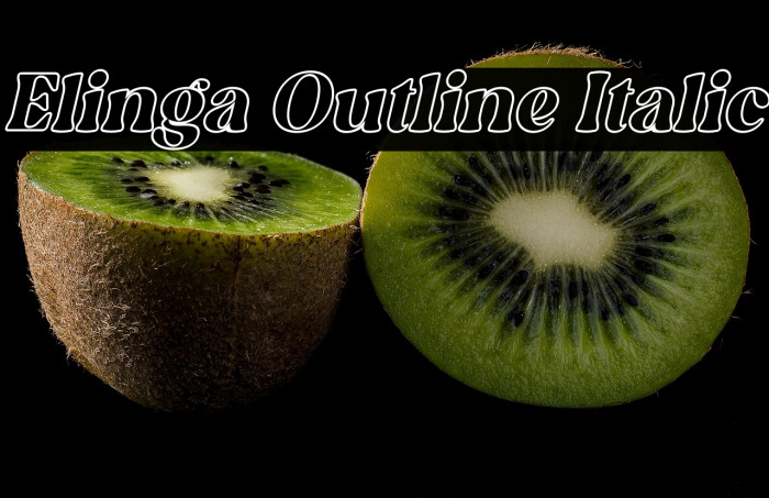 Elinga Outline Italic Example 2