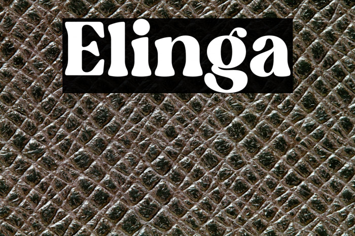 Elinga Example 1