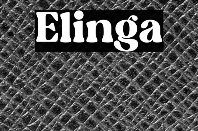 Elinga Font examples