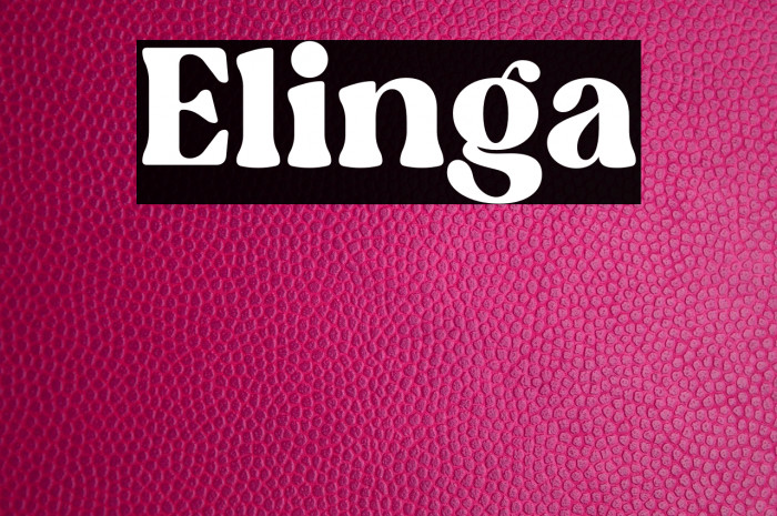 Elinga Example 2