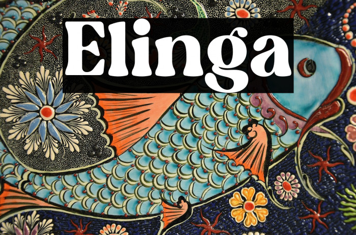 Elinga Example 3