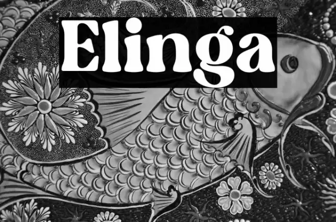 Elinga Font examples