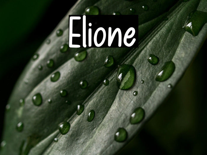Elione Example 1