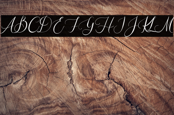 Elisabeth Raelyn Example 2