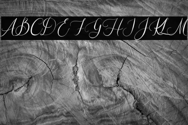 Elisabeth Raelyn Font examples