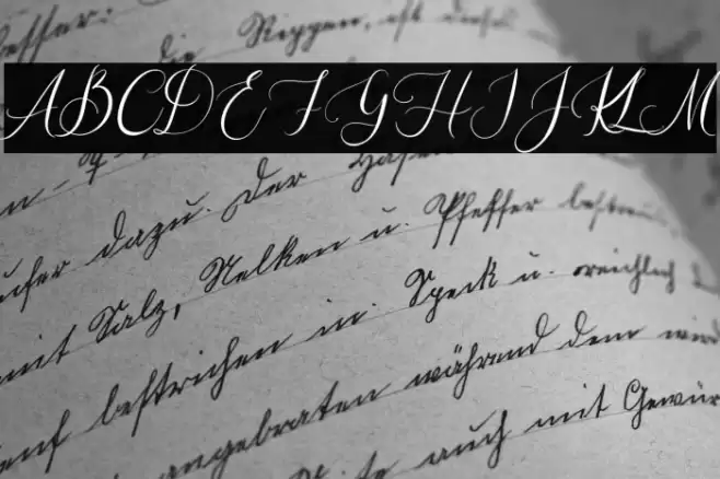 Elisabeth Raelyn Font examples