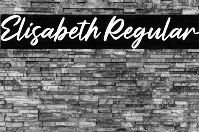 Elisabeth Regular Font examples