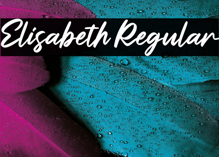 Elisabeth Regular Example 2