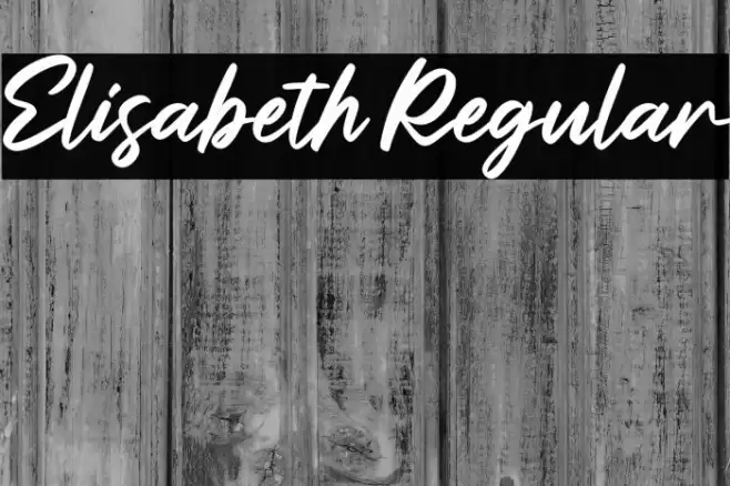 Elisabeth Regular Font examples