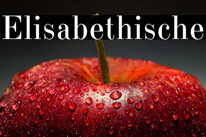 Elisabethische Example 1