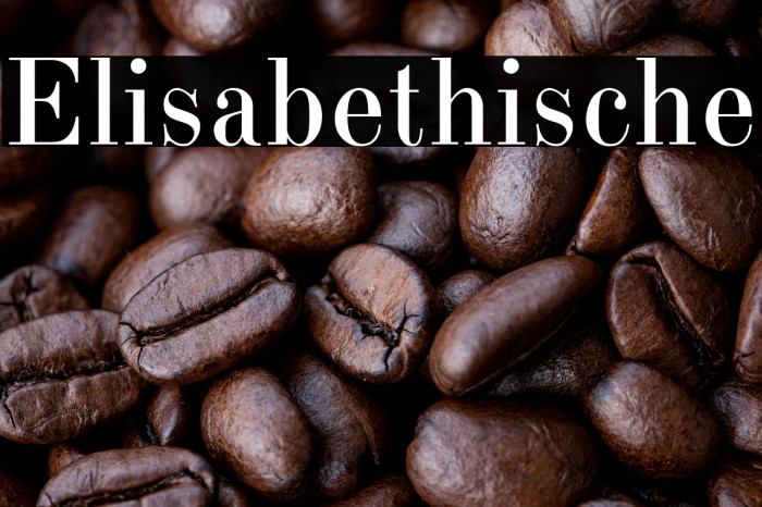 Elisabethische Example 2