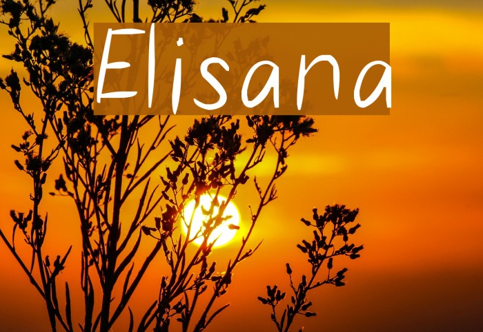 Elisana Font examples