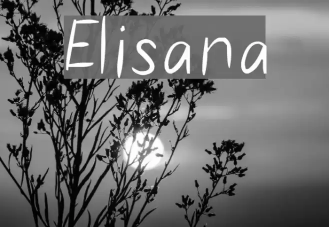 Elisana examples