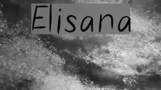 Elisana examples