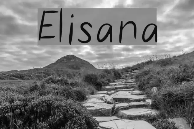 Elisana examples