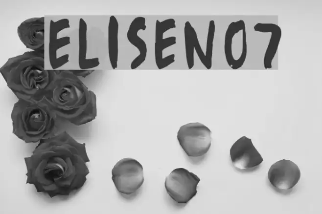 EliseNo7 Example 2