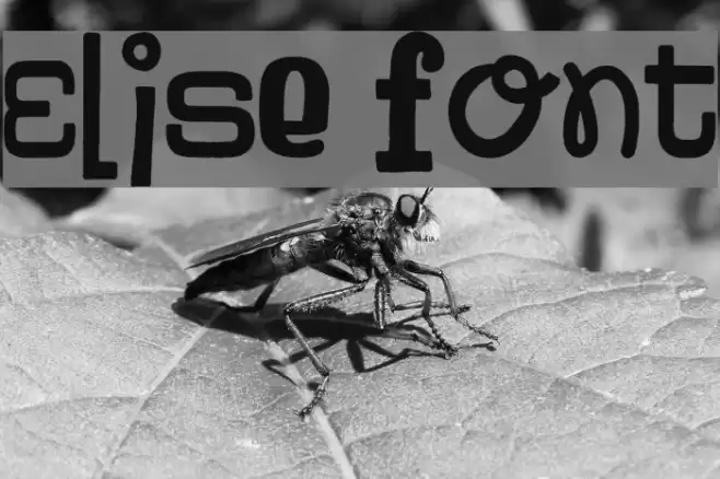 Elise Font examples