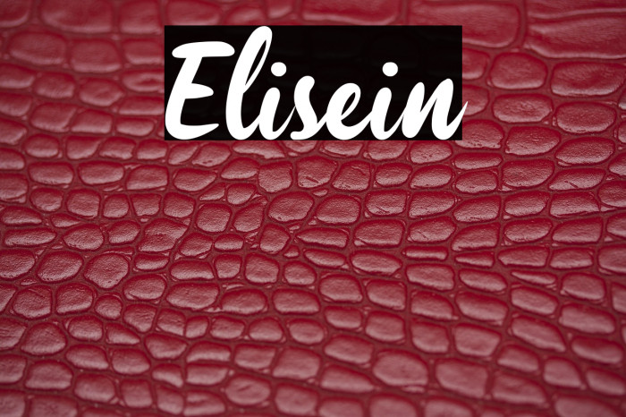 Elisein Example 1