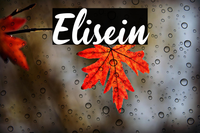 Elisein Example 2