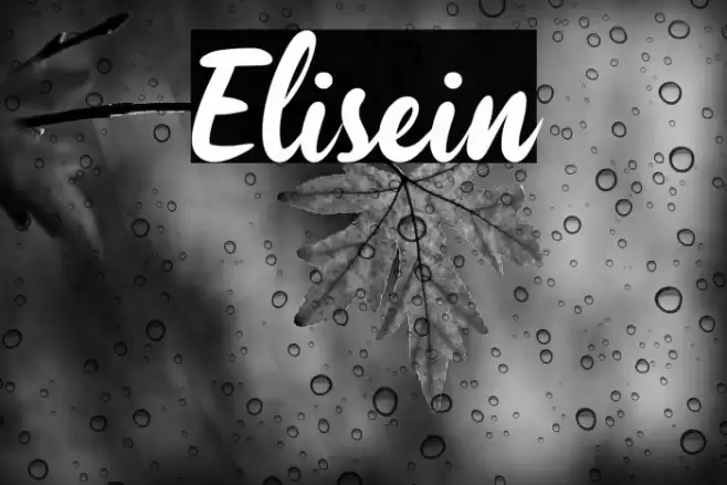 Elisein Font examples