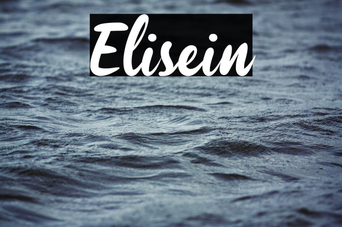 Elisein Example 3