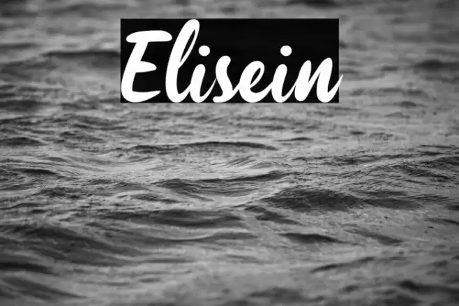 Elisein Font examples