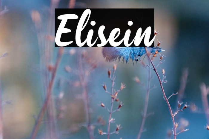 Elisein Example 1